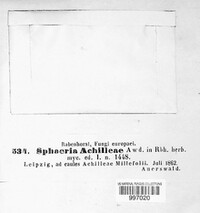 Diaporthe arctii image